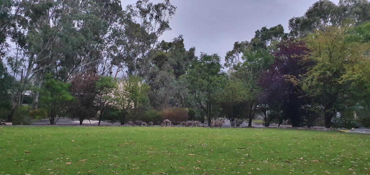 A-Line Holiday Park Bendigo Exteriér fotografie